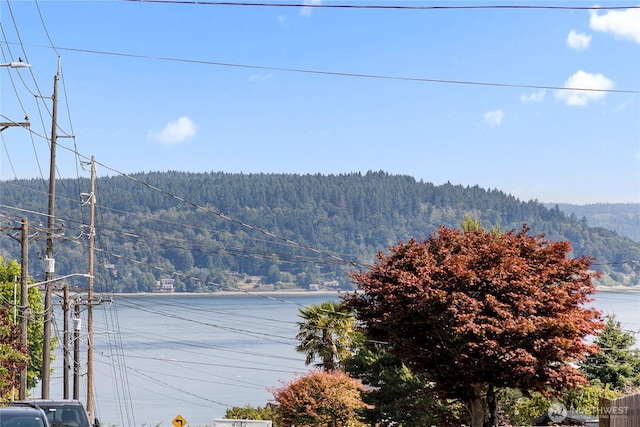 4519 N Gove St, Tacoma, WA 98407 - photo 24