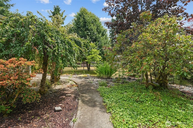 6338 Kirsop, Olympia, WA 98512 - view of yard