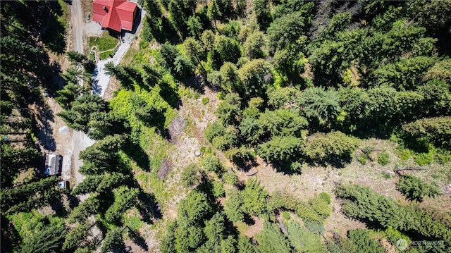 16757 Second Creek Rd, Leavenworth, WA 98826