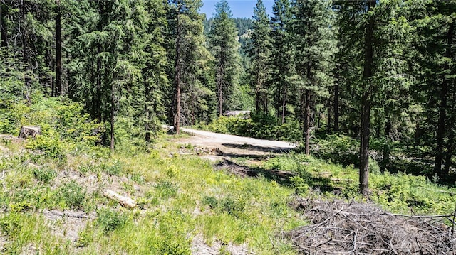 16757 Second Creek Rd, Leavenworth, WA 98826