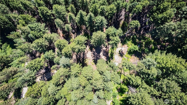 16757 Second Creek Rd, Leavenworth, WA 98826