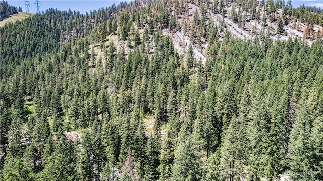 16757 Second Creek Rd, Leavenworth, WA 98826
