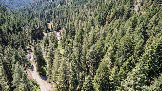 16757 Second Creek Rd, Leavenworth, WA 98826