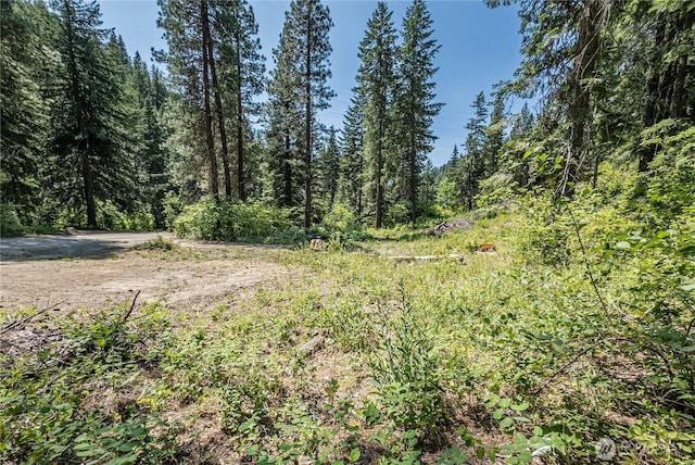 16757 Second Creek Rd, Leavenworth, WA 98826