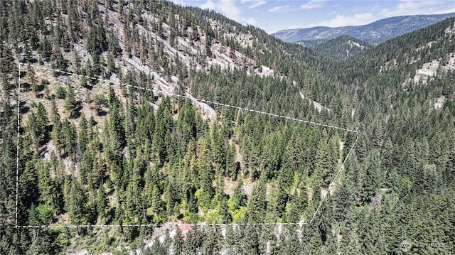 16757 Second Creek Rd, Leavenworth, WA 98826
