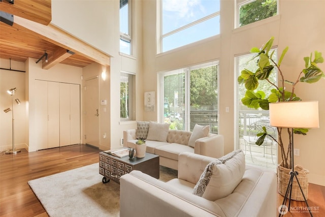 530 Broadway E Unit 130, Seattle, WA 98102 - living room with wood finished floors, beamed ceiling, and a high ceiling