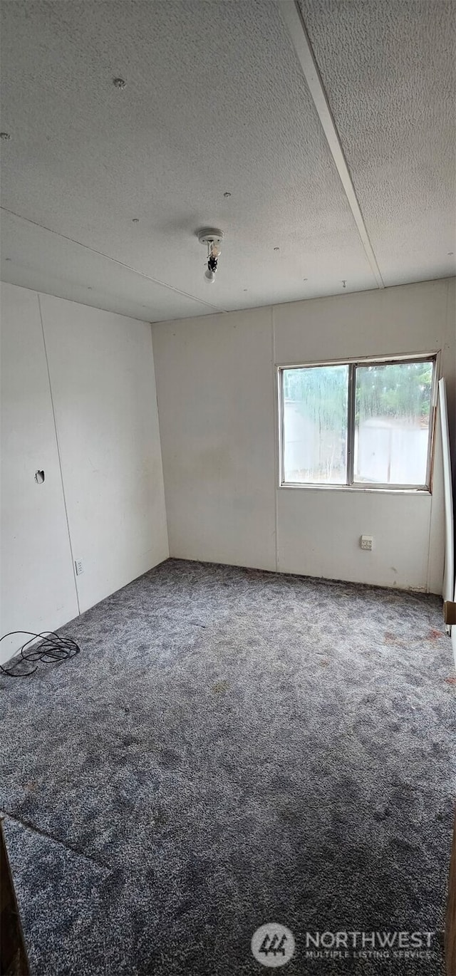 211 Pace Dr Unit 17, East Wenatchee, WA 98802 - empty room featuring carpet floors and a textured ceiling