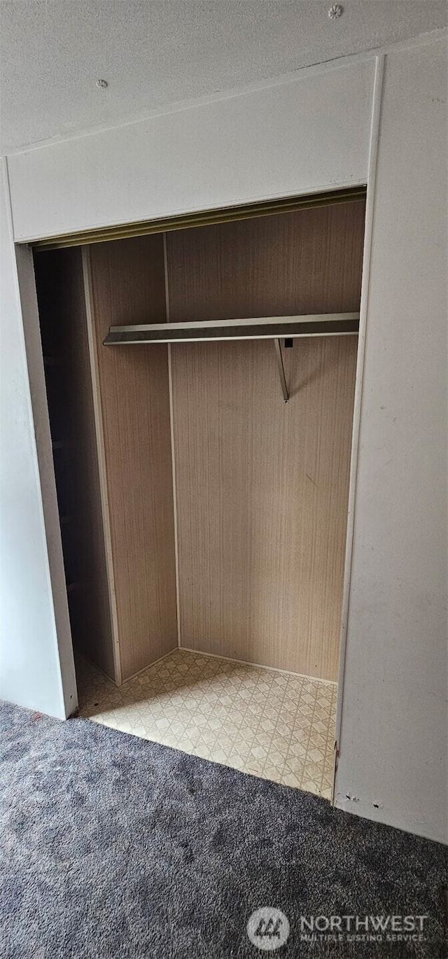 211 Pace Dr Unit 17, East Wenatchee, WA 98802 - view of closet