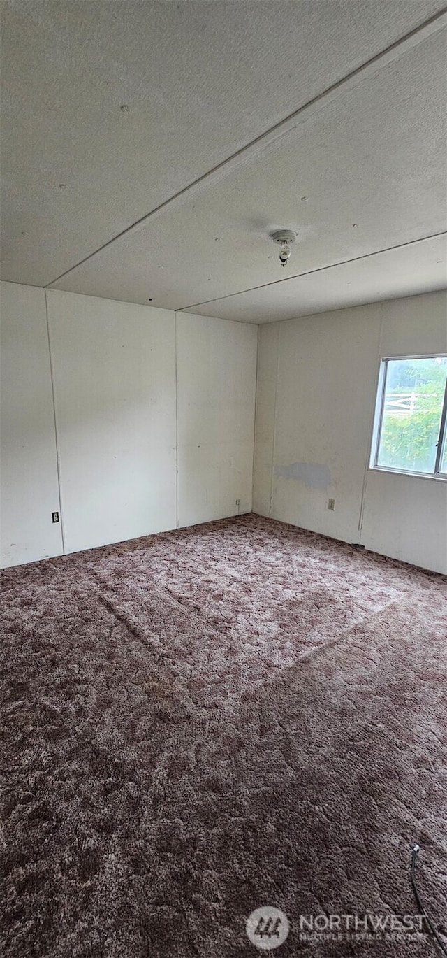 211 Pace Dr Unit 17, East Wenatchee, WA 98802 - spare room featuring carpet floors and a textured ceiling