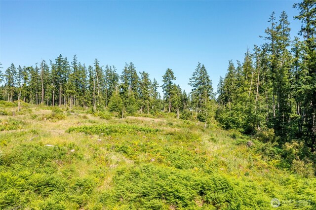 2296 Reservation, Oak Harbor, WA 98277 - photo 12