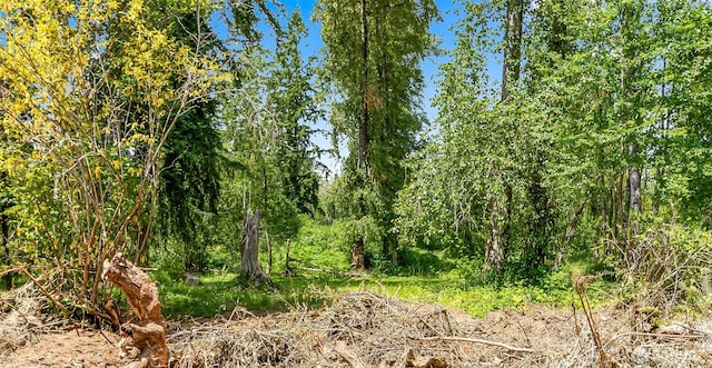 12812 2nd St SE, Lake Stevens, WA 98258