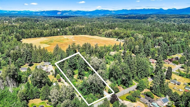 12812 2nd St SE, Lake Stevens, WA 98258