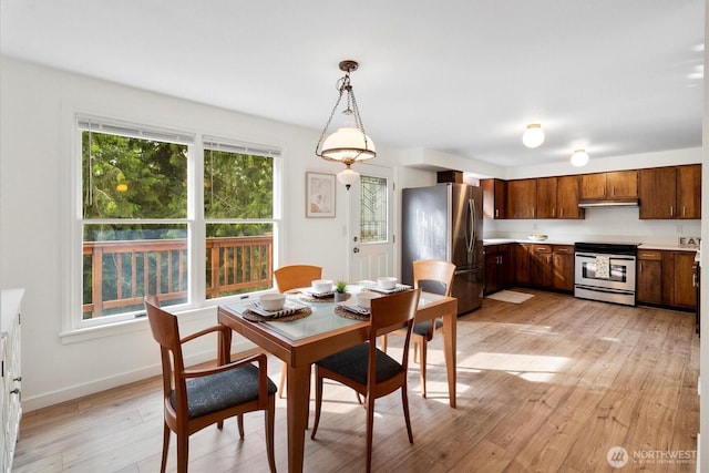 4530 Vacca Ln, Bellingham, WA 98226 - dining room featuring light wood-style floors and baseboards
