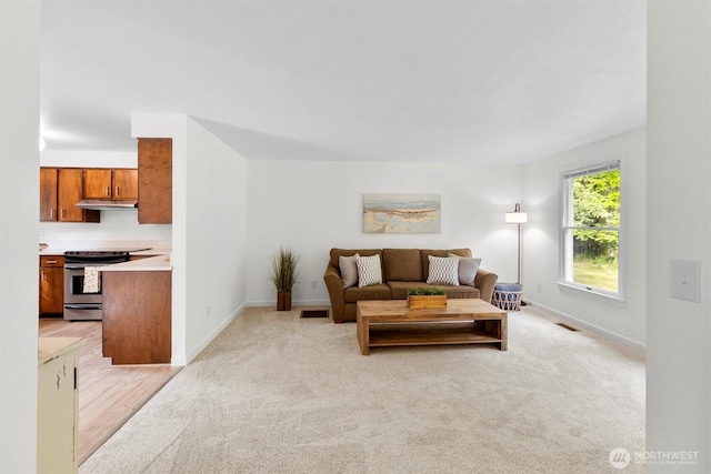 4530 Vacca Ln, Bellingham, WA 98226 - living area with light colored carpet and baseboards