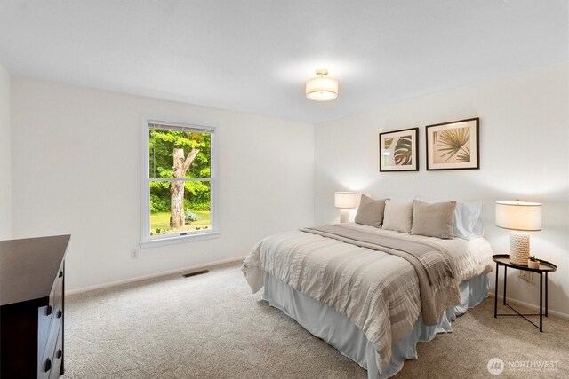 4530 Vacca Ln, Bellingham, WA 98226 - carpeted bedroom featuring baseboards