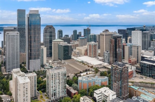 1420 Terry Ave Unit 907, Seattle, WA 98101 - skyline view featuring a nearby body of water