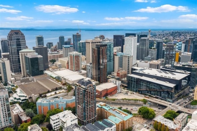 1420 Terry Ave Unit 907, Seattle, WA 98101 - city view featuring a nearby body of water