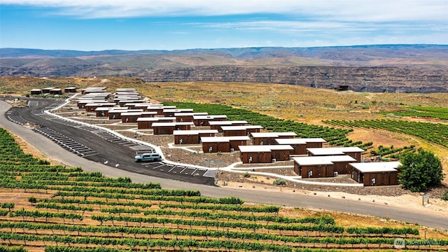 23648 Cliffe Pointe Rd NW Unit 10C, Quincy, WA 98848 - overview of rural landscape featuring a mountain backdrop