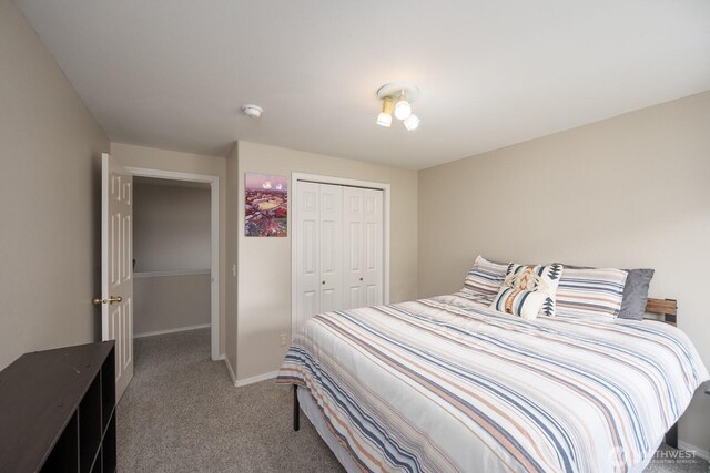 7649 Mcdougal Ave NE, Moses Lake, WA 98837 - bedroom with carpet flooring and a closet