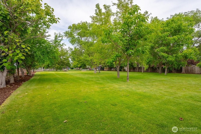 7649 Mcdougal Ave NE, Moses Lake, WA 98837 - view of yard