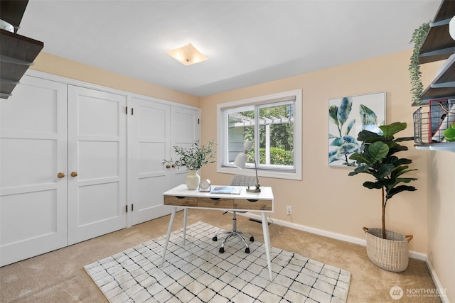 10751 Durland Ave NE, Seattle, WA 98125 - photo 15