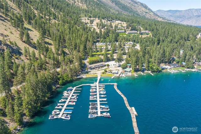 11155 S Lakeshore Rd, Chelan, WA 98816 - aerial view of property's location featuring a water and mountain view and a marina