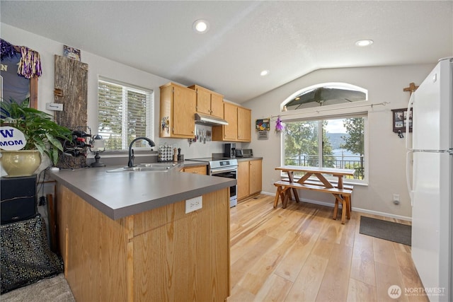 11155 S Lakeshore Rd, Chelan, WA 98816 - kitchen with freestanding refrigerator, stainless steel electric range oven, vaulted ceiling, plenty of natural light, and light wood-type flooring
