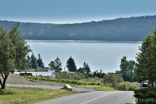 1306 Bercot Rd, Freeland, WA 98249 - photo 22