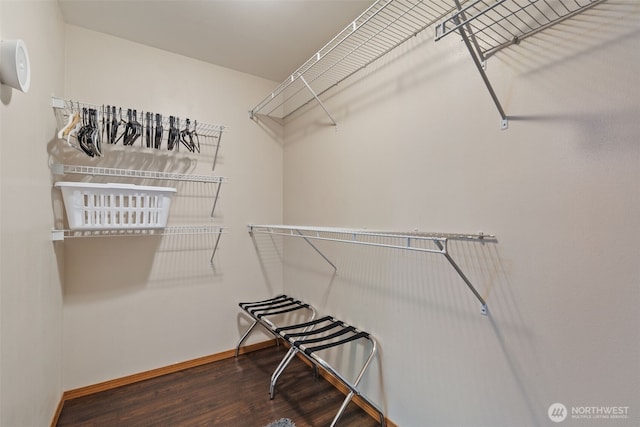 130 Kimberlund Ln, Chehalis, WA 98532 - walk in closet with wood finished floors