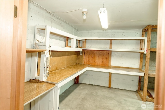 18630 NE 57th Way, Redmond, WA 98052 - view of storage room