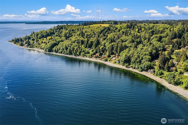 14830 Glen Acres Rd SW, Vashon, WA 98070 - bird's eye view of a nearby body of water