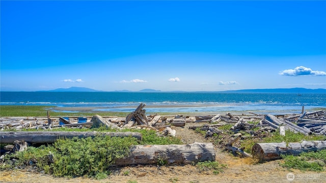 1728 Edwards Dr Unit 19, Point Roberts, WA 98281 - photo 18