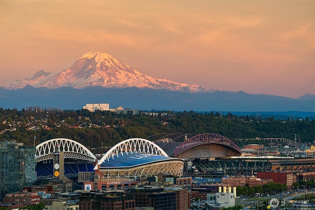 2125 1st Ave Unit 3003, Seattle, WA 98121 - view of mountain backdrop featuring a heavily wooded area