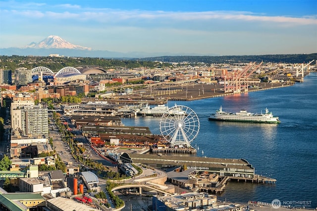 2125 1st Ave Unit 3003, Seattle, WA 98121 - aerial view of a large body of water
