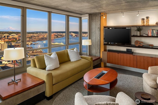 2125 1st Ave Unit 3003, Seattle, WA 98121 - living room featuring finished concrete flooring and healthy amount of natural light
