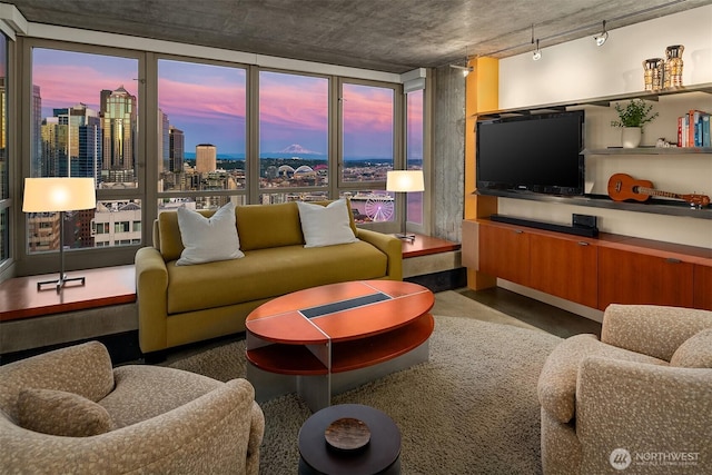 2125 1st Ave Unit 3003, Seattle, WA 98121 - living room featuring plenty of natural light, concrete flooring, and track lighting