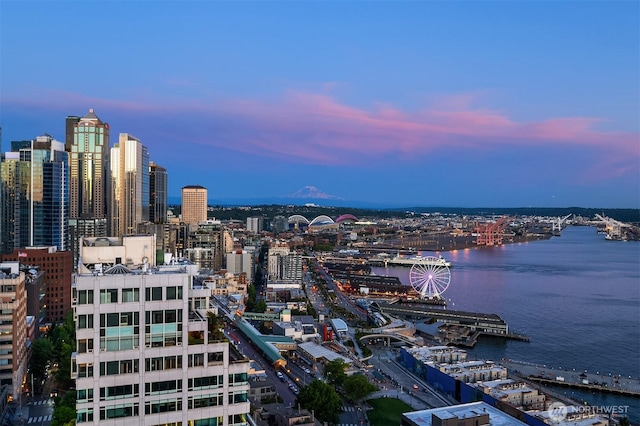 2125 1st Ave Unit 3003, Seattle, WA 98121 - view of city with a large body of water