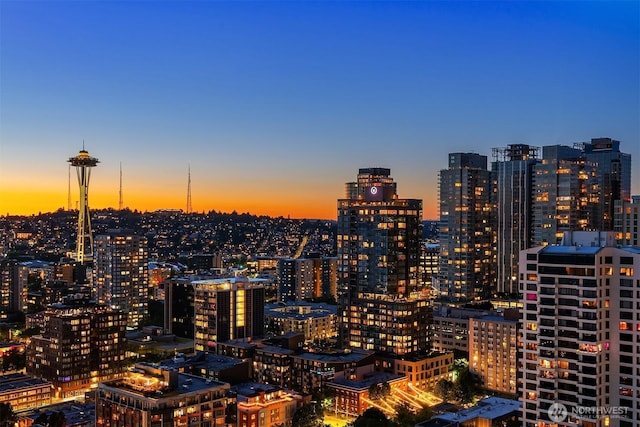 2125 1st Ave Unit 3003, Seattle, WA 98121 - city view