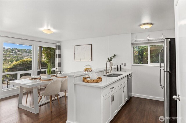 2636 22nd Ave W Unit 101, Seattle, WA 98199 - kitchen with stainless steel appliances, a peninsula, dark wood-style flooring, and plenty of natural light