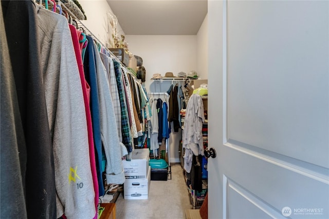 103N Trail Rd, Sedro Woolley, WA 98284 - spacious closet featuring carpet