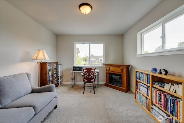 103N Trail Rd, Sedro Woolley, WA 98284 - sitting room with a glass covered fireplace and carpet floors