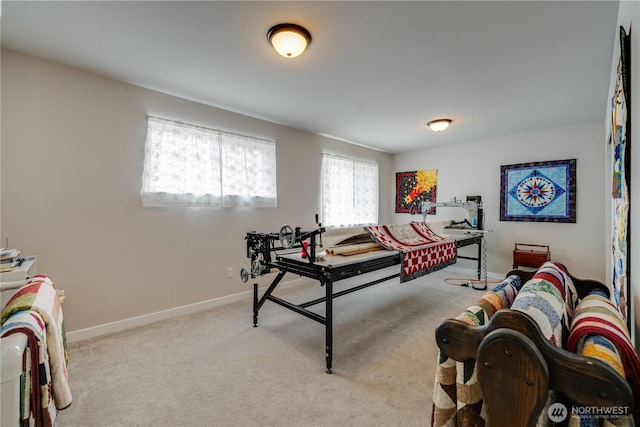 103N Trail Rd, Sedro Woolley, WA 98284 - playroom with carpet floors and baseboards