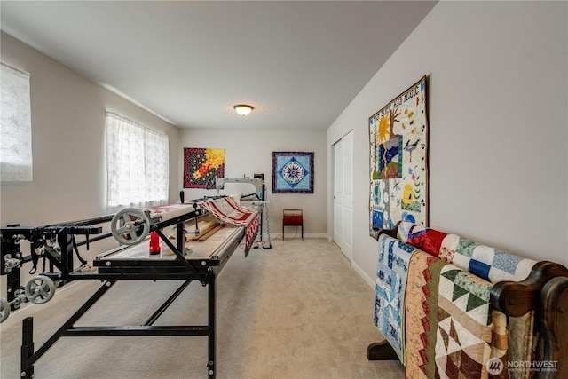 103N Trail Rd, Sedro Woolley, WA 98284 - rec room with carpet and baseboards