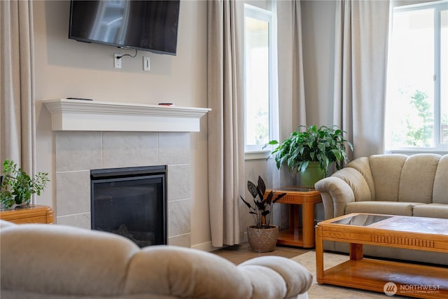 103N Trail Rd, Sedro Woolley, WA 98284 - living room with healthy amount of natural light and a fireplace