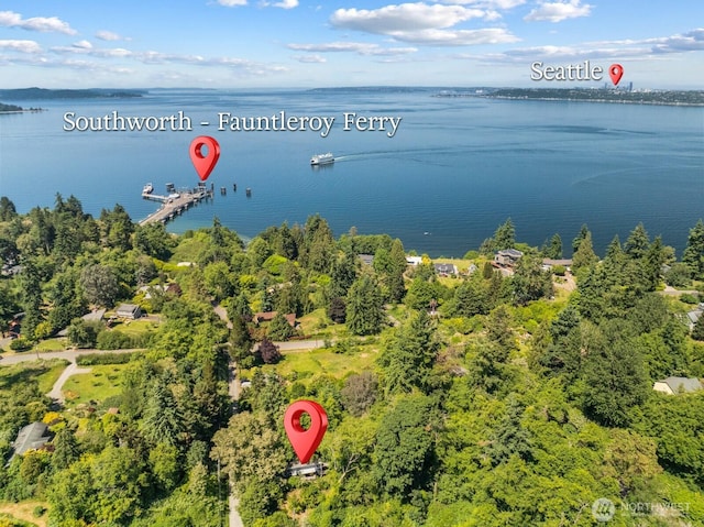 11230 Asta Ln SW, Vashon, WA 98070 - aerial view of a large body of water
