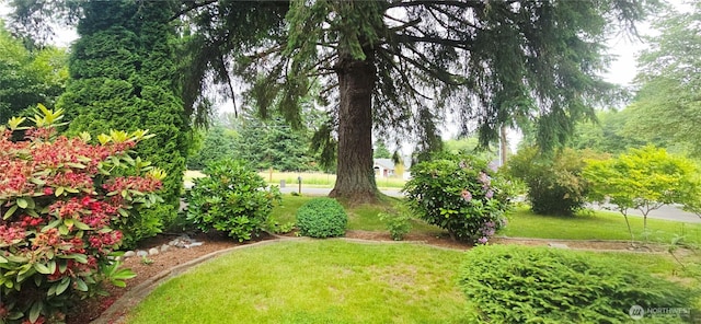 1931 Miller Ave NE, Olympia, WA 98506 - photo 4