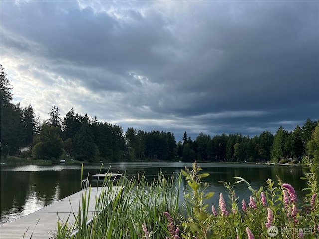 19005 23rd St SW, Lakebay, WA 98349 - photo 20