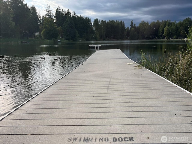 19005 23rd St SW, Lakebay, WA 98349 - photo 21
