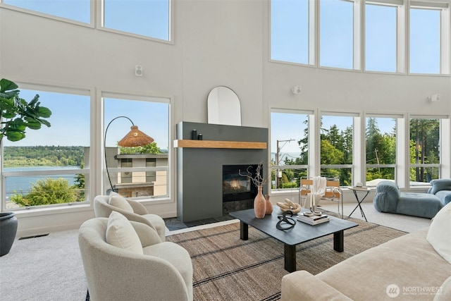 8812 NE 117th Pl, Kirkland, WA 98034 - living room featuring a high ceiling, a glass covered fireplace, and healthy amount of natural light