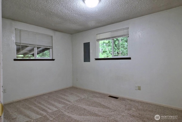 110 E Shannon Pl, Shelton, WA 98584 - unfurnished room with carpet, electric panel, and a textured ceiling
